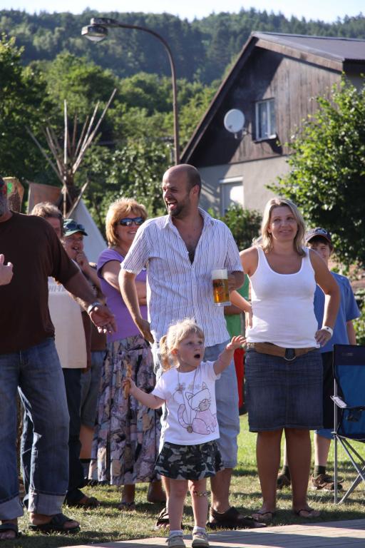 Dřevosochání 2010